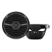 Морская акустика Rockford Fosgate Marine RM0652 (B)
