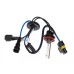 Комплект ксенонового світла QLine Max Light H7 4300К