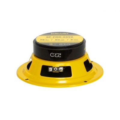 Естрадна акустика SWAT SP PRO-65V2