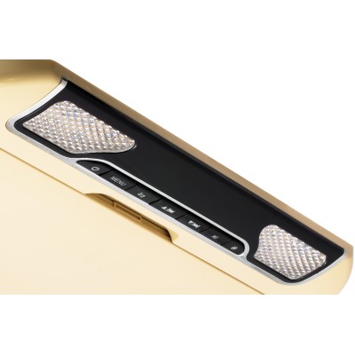 Стельовий монітор Clayton SL-1330 BE 13.3 дюйма