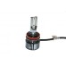 Лампи світлодіодні QLine Mini Active H11 6000K (2шт.)