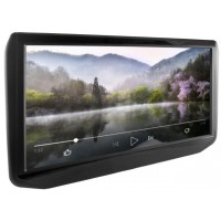 Монитор Gazer HR100