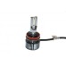 Лампи світлодіодні QLine Mini Active H11 6000K (2шт.)